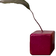BEEt
