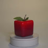 AppL