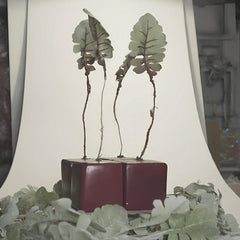 BEEt